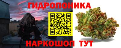 эйфоретик Будённовск