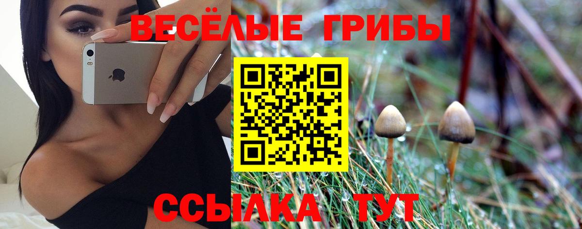 Псилоцибиновые грибы GOLDEN TEACHER Энгельс