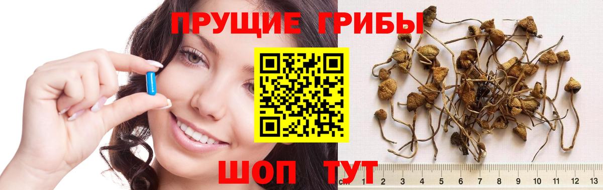 Галлюциногенные грибы прущие грибы  Псилоцибиновые грибы GOLDEN TEACHER  Вход с VPN  Энгельс 